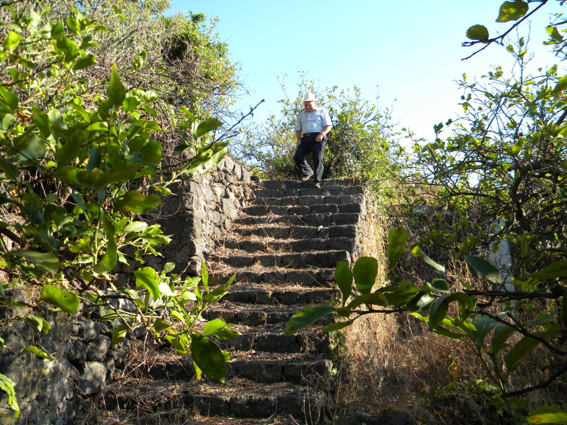 DSCN8079 .JPG